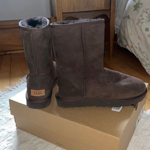NEW classic short UGG boots / chocolate